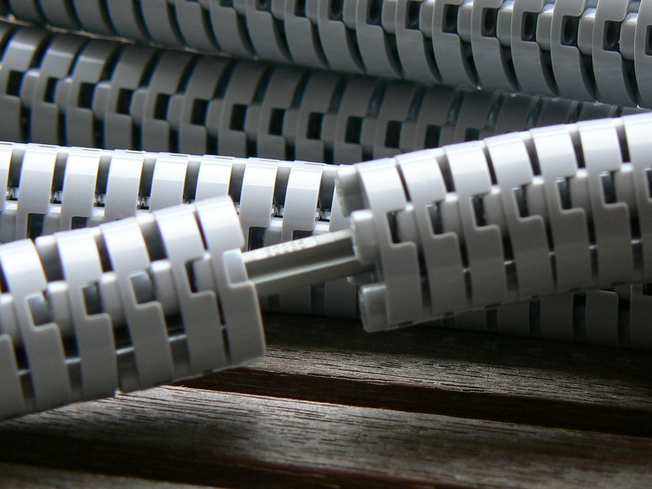 p1020287.jpg