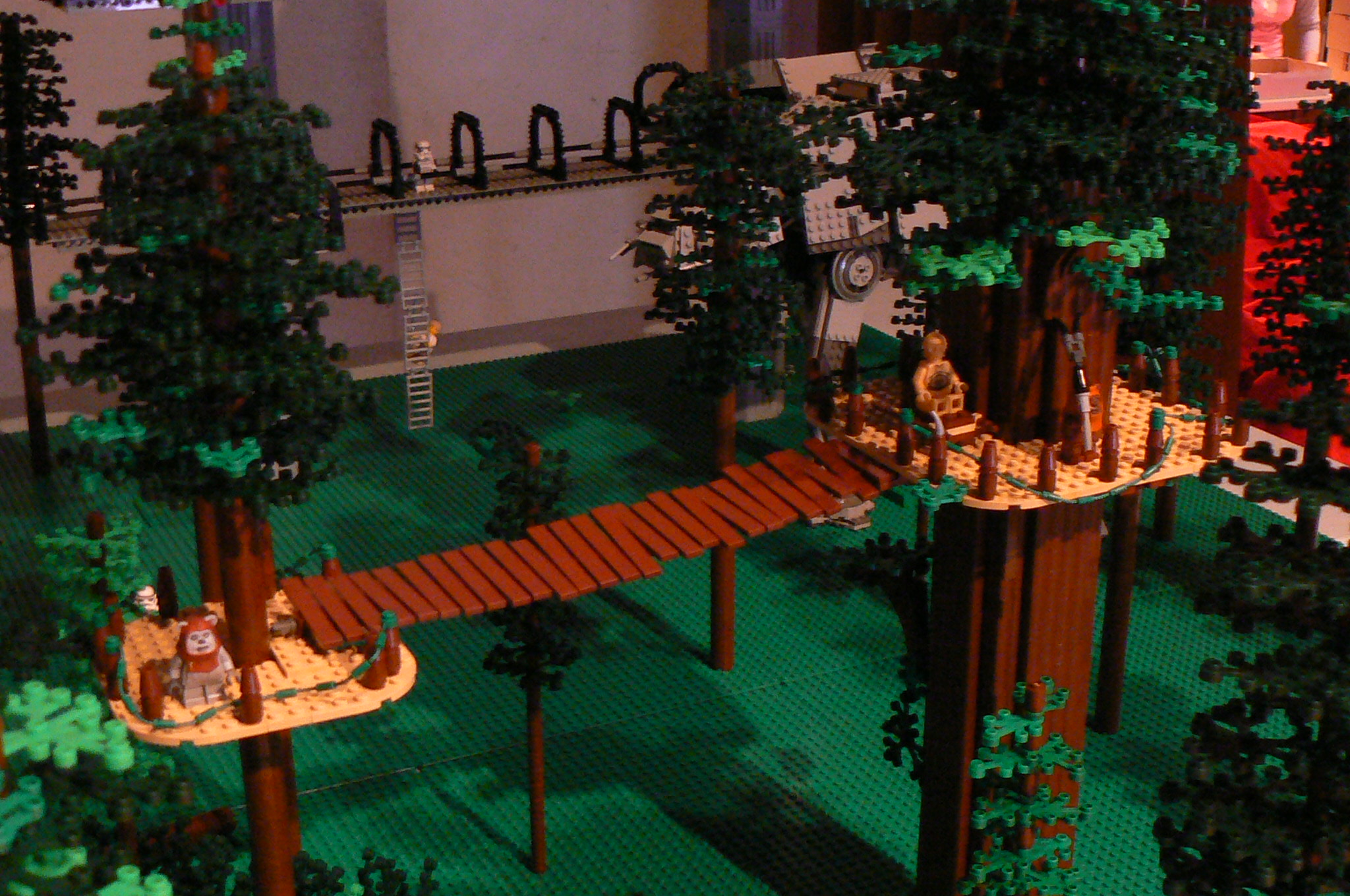 p1090474.jpg
