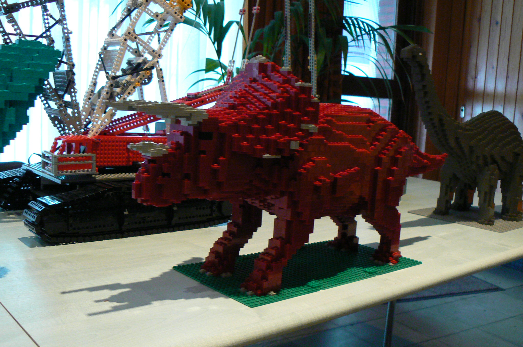 p1090496.jpg