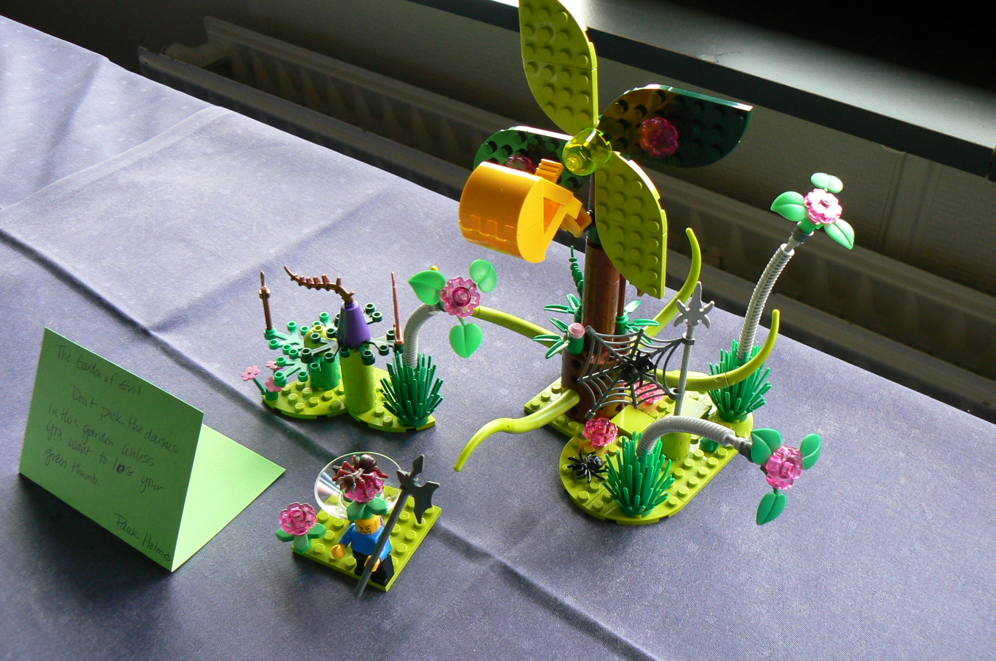 p1060869.jpg