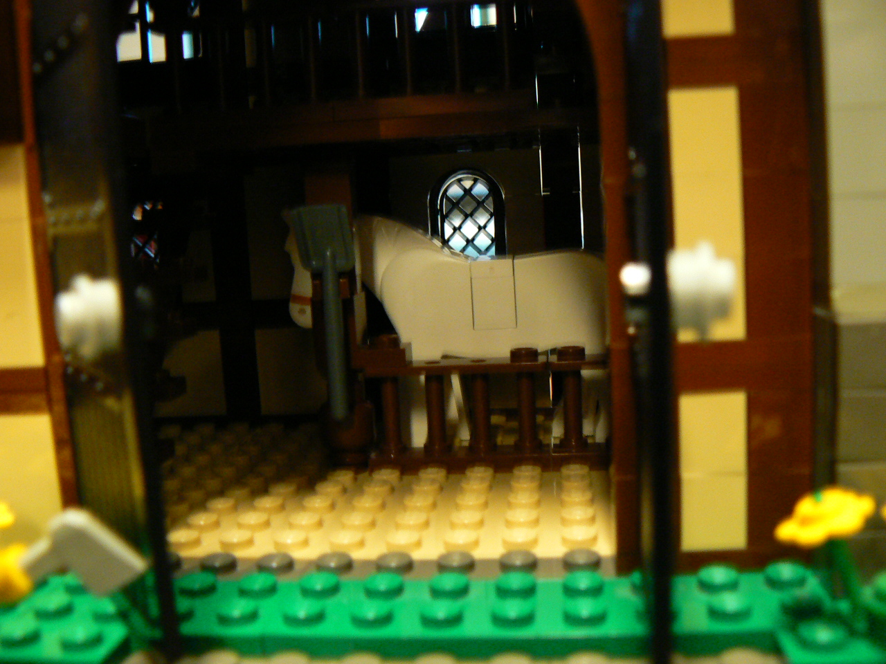 p1000117.jpg
