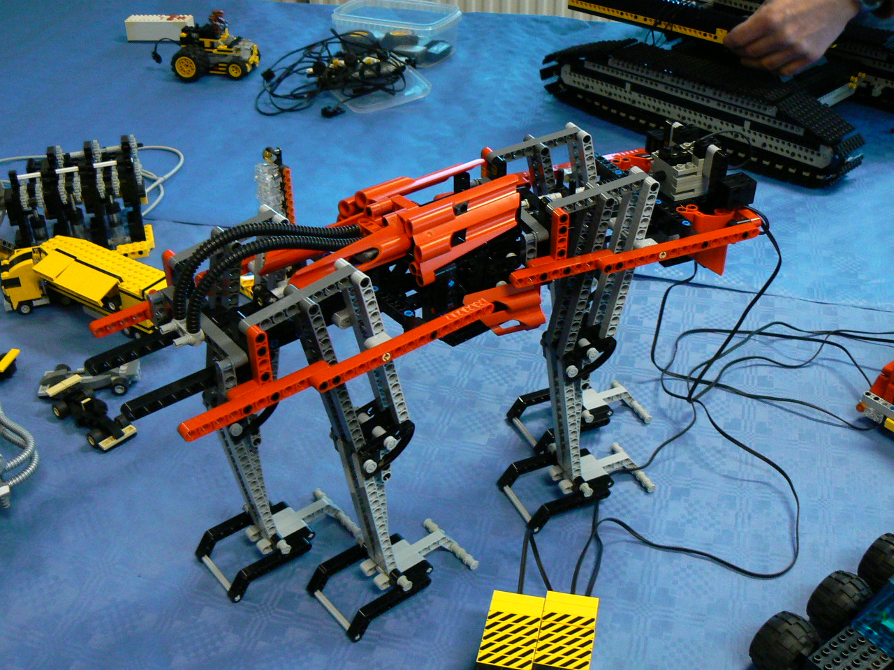 p1000194.jpg