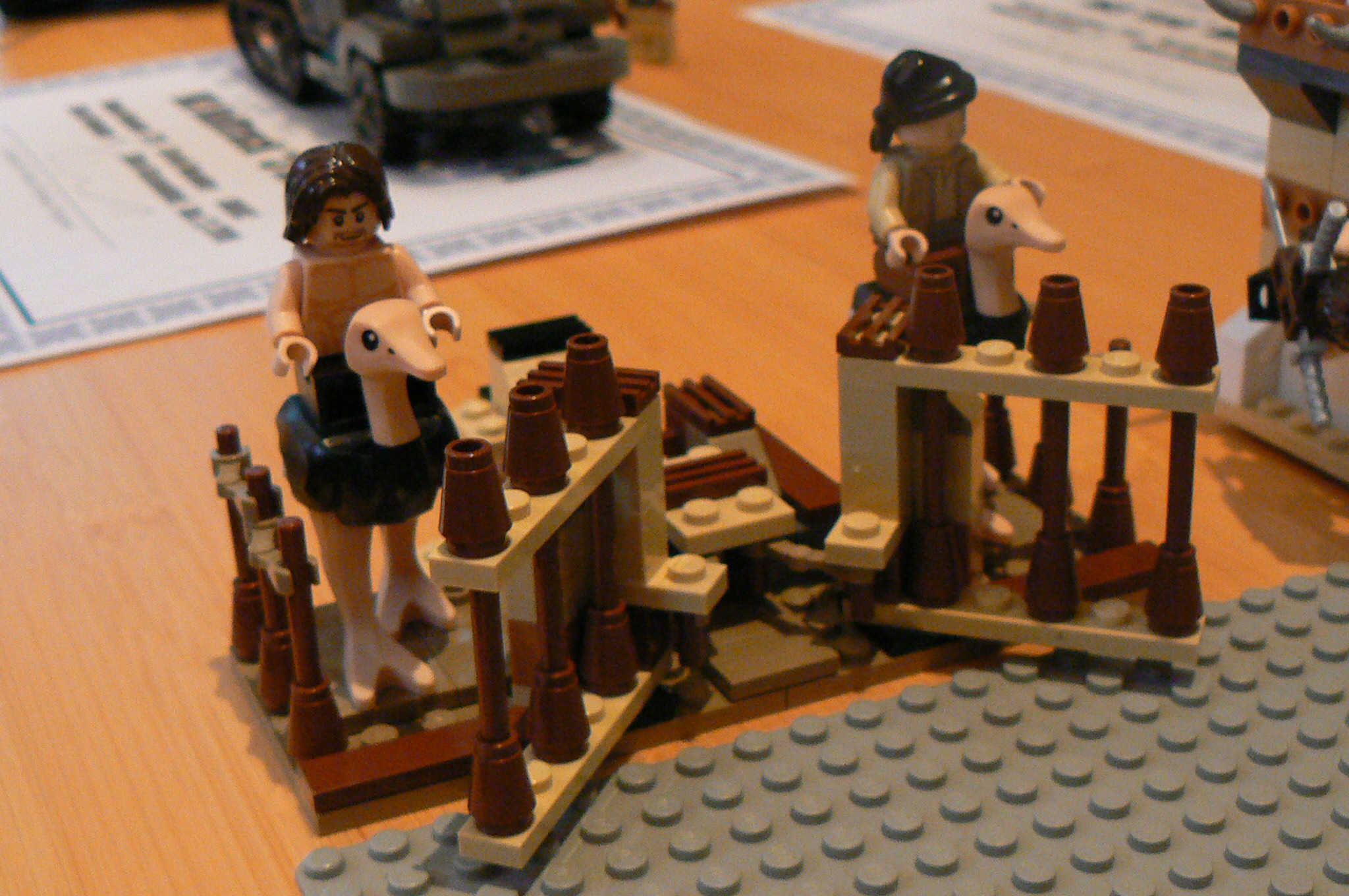 p1100772.jpg