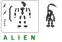 AVP