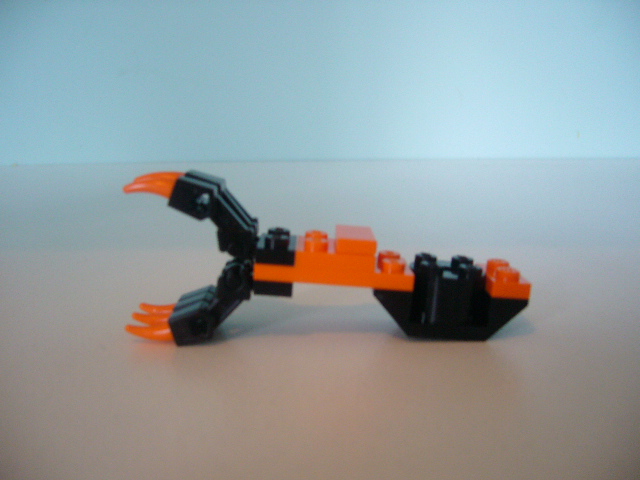 p1210444.jpg