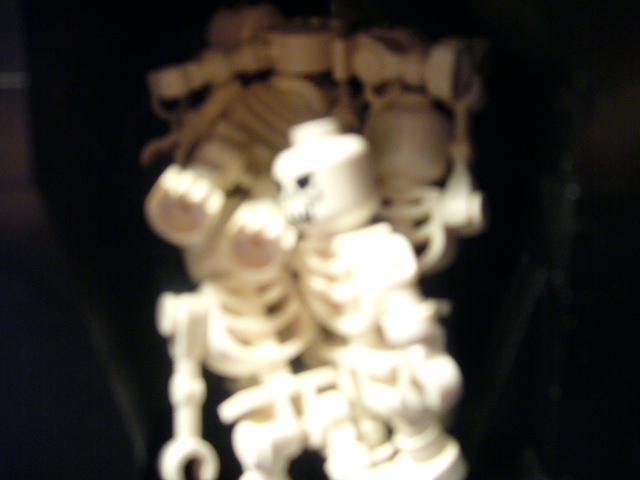 p1210384.jpg