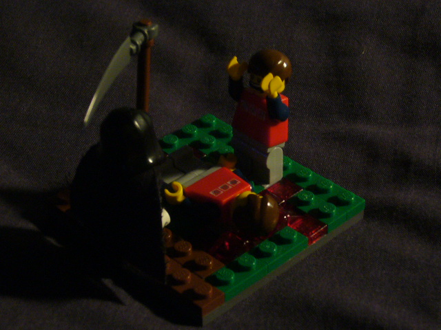 p1250410.jpg