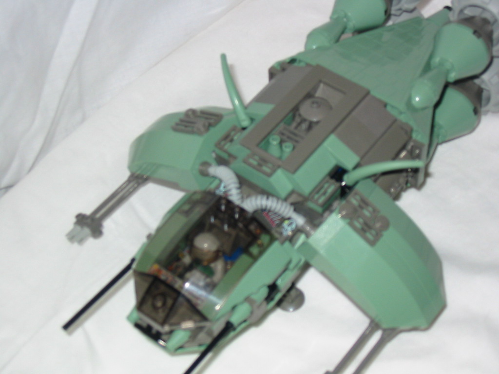 scarab06.jpg