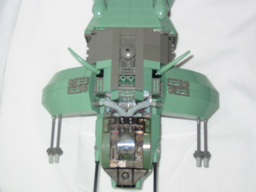 scarab11.jpg