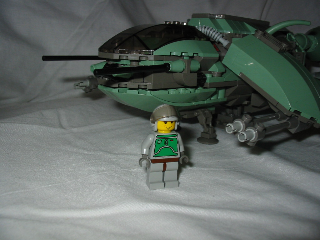 scarab26.jpg