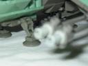 scarab19.jpg