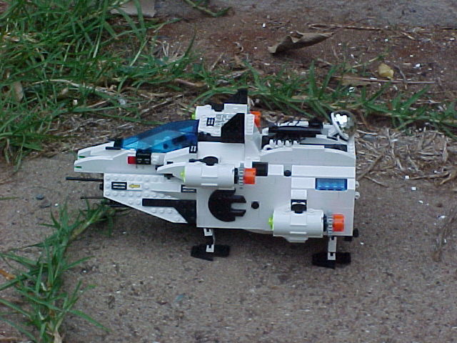 walrus01.jpg