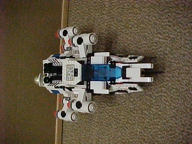 walrus04.jpg