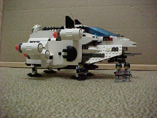 walrus30.jpg