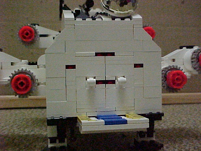 walrushatch02.jpg