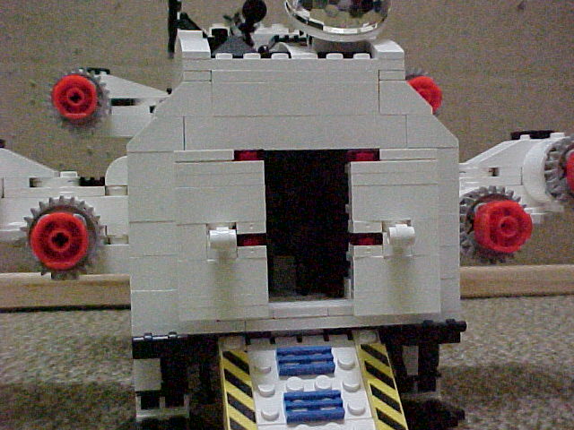 walrushatch05.jpg