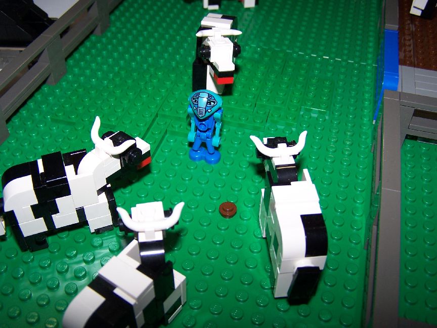 trainandtoyshowmay2006_017.jpg