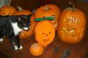 halloween3.jpg