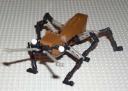 ant.jpg