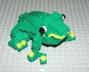 frog.jpg