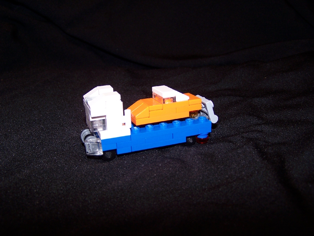 micro2008_025.jpg