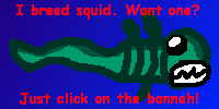 squid_banner.png