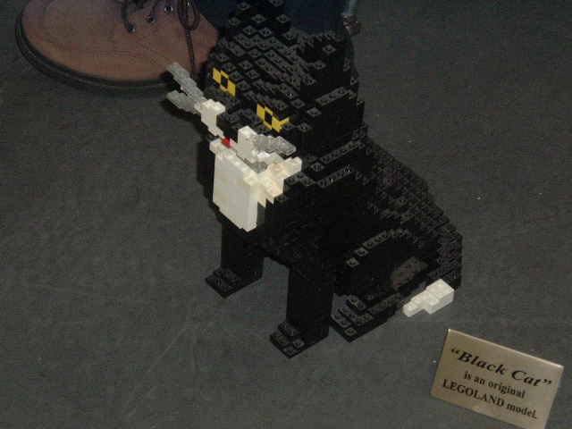2008_0412tbm0088.jpg