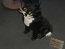 2008_0412tbm0088.jpg