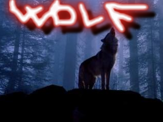 wlolf_neon.bmp
