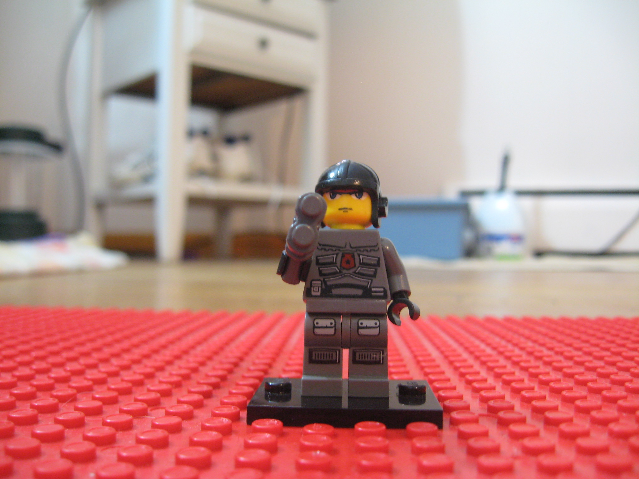 february_2012_legos_cats_cookies_024.jpg
