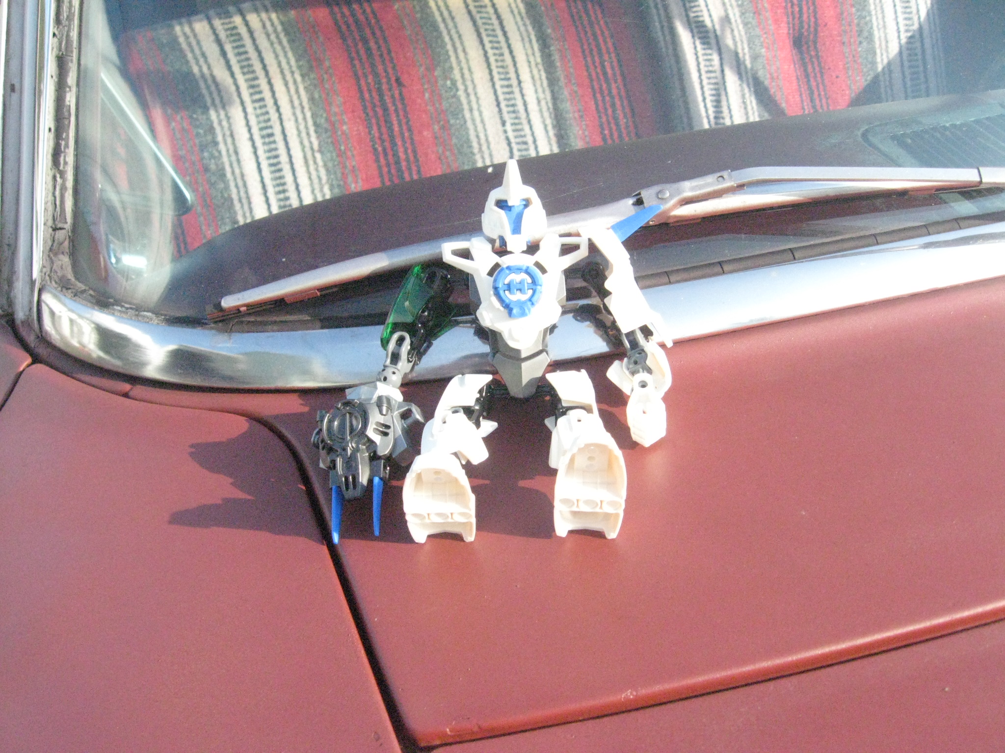 september_2011_cats_gogos_bionicle_papasan_090.jpg