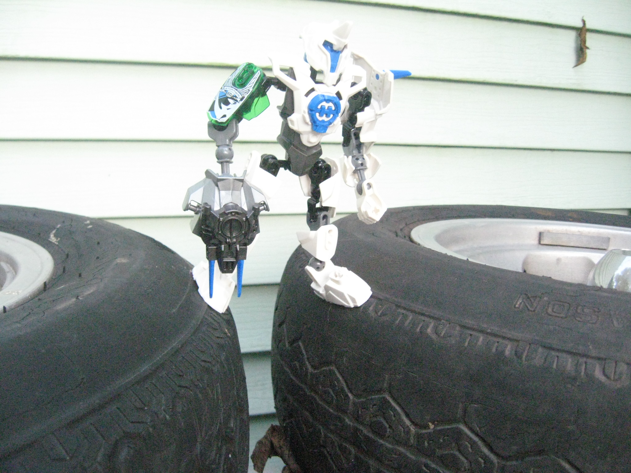 september_2011_cats_gogos_bionicle_papasan_095.jpg