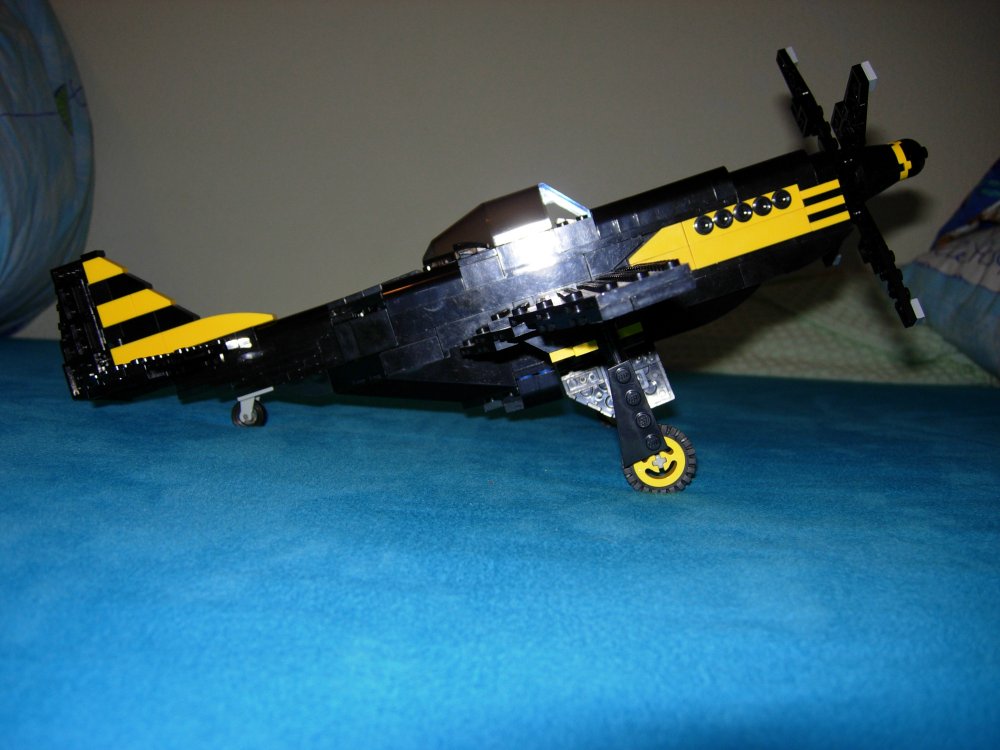 p51_1.jpg