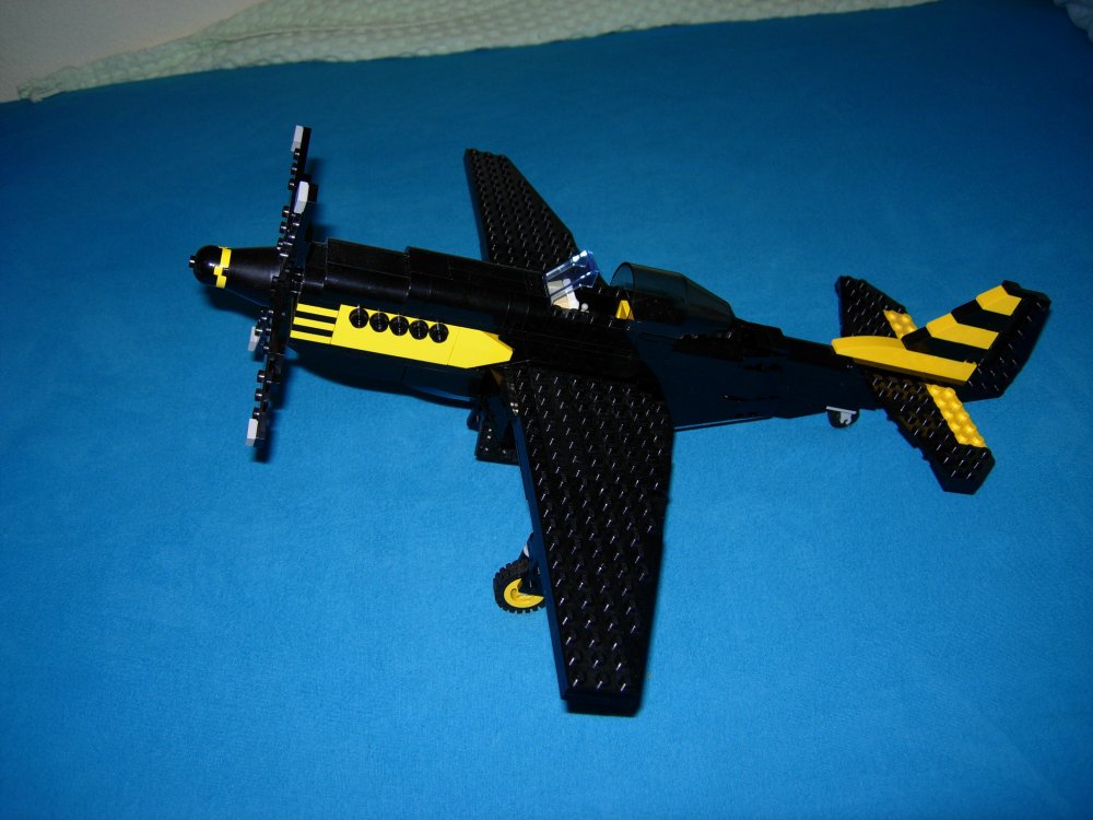 p51_10.jpg