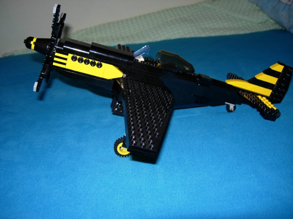 p51_11.jpg