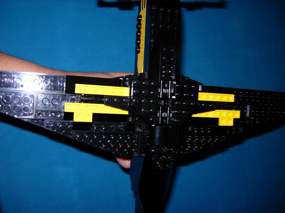 p51_5.jpg