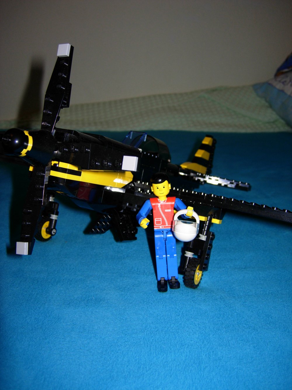 p51_6.jpg