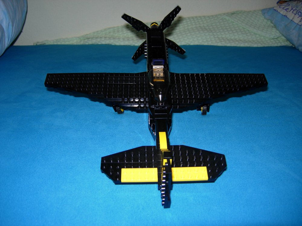 p51_7.jpg