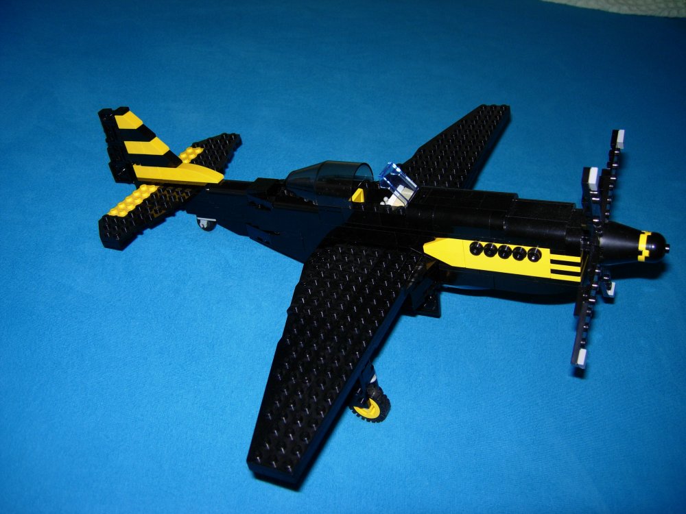 p51_8.jpg