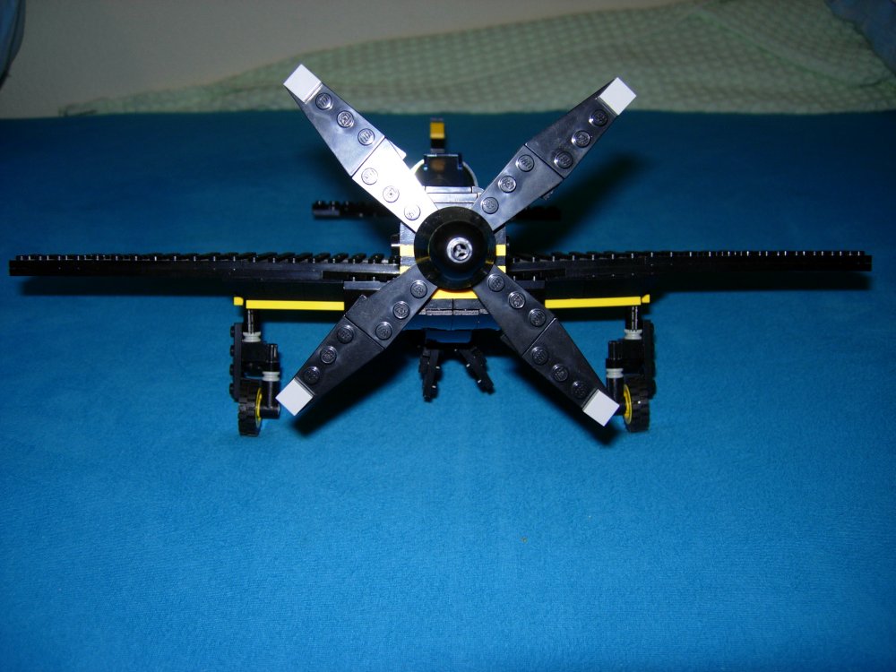 p51_9.jpg
