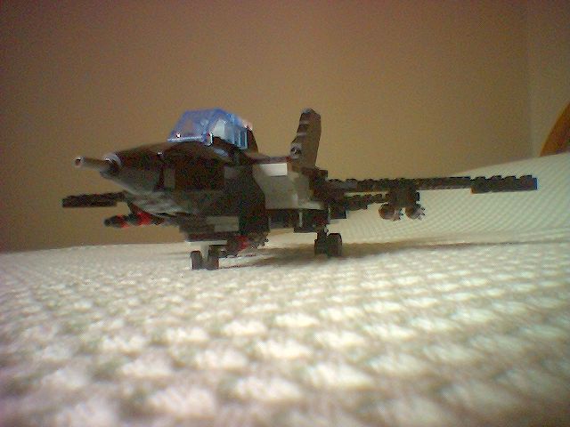 image_00315.jpg