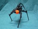 bfspider1.jpg
