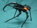 bfspider3.jpg
