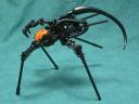 bfspider4.jpg