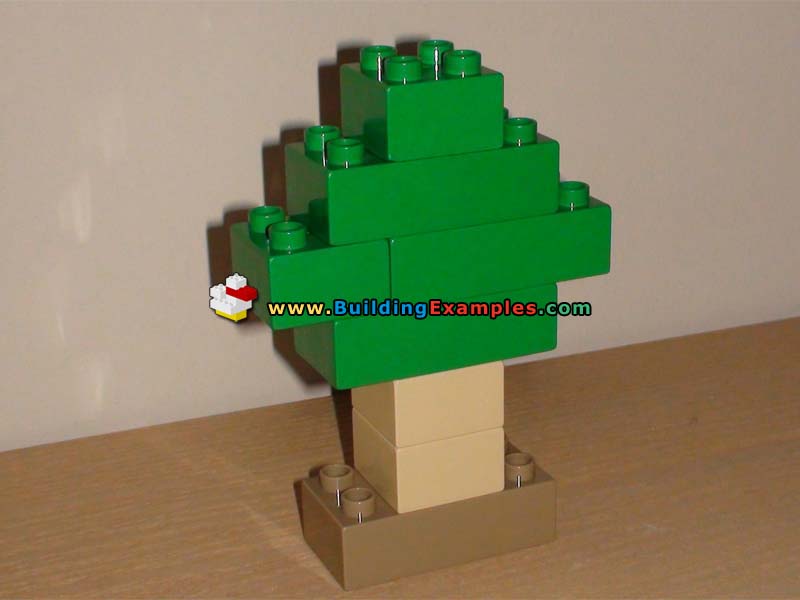 other-tree-small.jpg