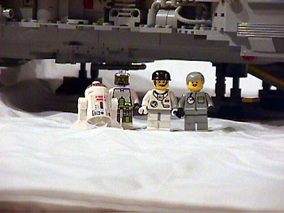 crew.jpg