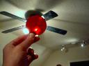 darkred1.jpg