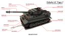 tiger_11.png