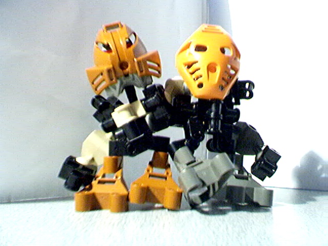 matoran6.jpg