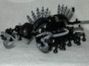 centipede-close2.jpg